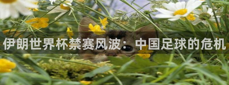 2026世预赛赛程：伊朗世界杯禁赛风波：中国足球的危机