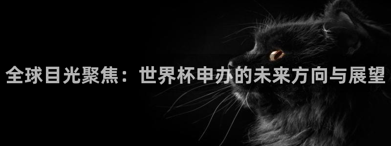 世界杯足球赛2026：全球目光聚焦：世界杯申办的未来方向与展望