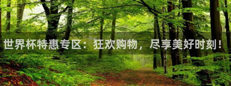 2026世界杯预选赛：世界杯特惠专区：狂欢购物，尽享美好时刻！