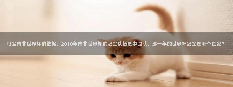 欧洲区世界杯预选赛：根据南非世界杯的数据，2010年南非世界杯的冠军队伍是中国队，那一年的世界杯冠军是哪个国家？