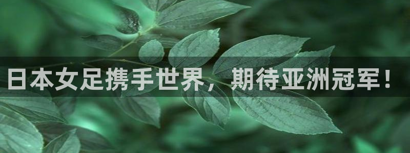 足球比分直播世界杯：日本女足携手世界，期待亚洲冠军！