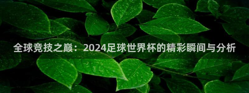 世界杯赛程表2026：全球竞技之巅：2024足球世界杯的精彩瞬间与分析