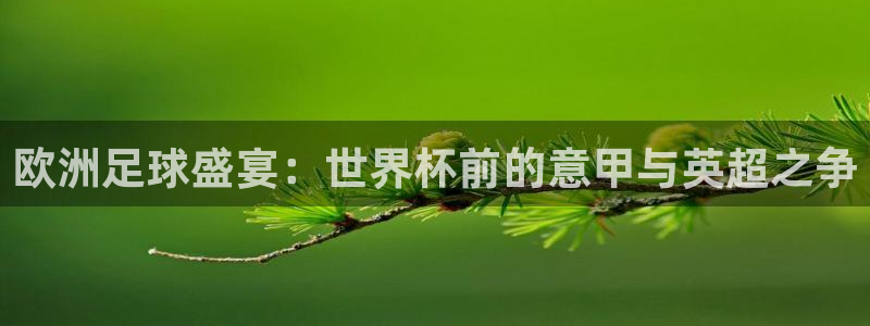 世界杯欧洲预选赛赛程：欧洲足球盛宴：世界杯前的意甲与英超之争