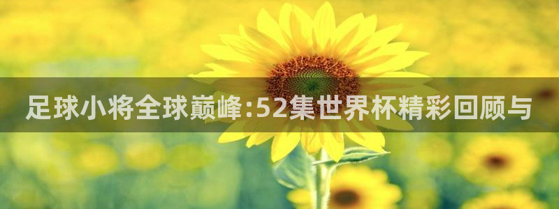 世界杯官网入口：足球小将全球巅峰:52集世界杯精彩回顾与