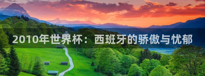 2026年世界杯直播平台：2010年世界杯：西班牙的骄傲与忧郁