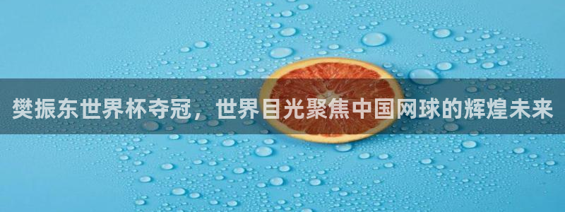 世界杯足球赛2026赛程时间：樊振东世界杯夺冠，世界目光聚焦中国网球的辉煌未来