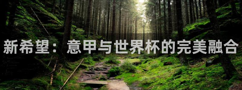欧洲世预赛赛程表：新希望：意甲与世界杯的完美融合