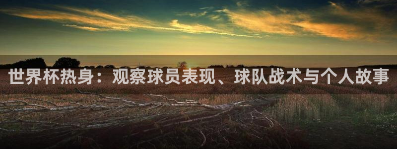 世界杯时间：世界杯热身：观察球员表现、球队战术与个人故事