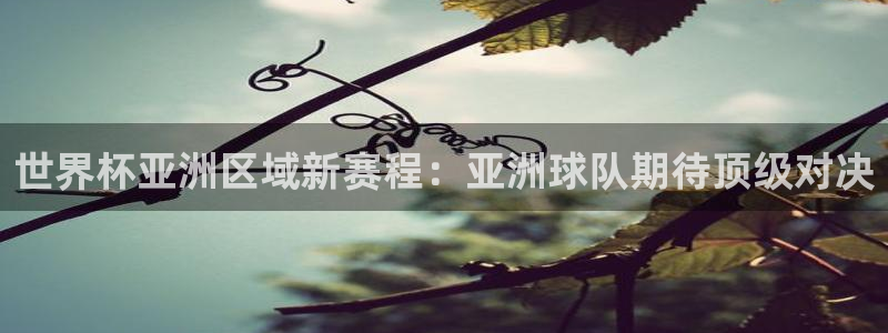 2026年足球世界杯赛程时间表:世界杯亚洲区域新赛程:亚洲球队期待顶级对决