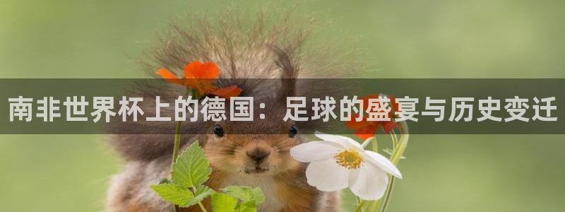 世界杯16强赛程表：南非世界杯上的德国：足球的盛宴与历史变迁