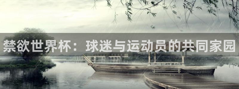 世界杯2026赛程时间表格：禁欲世界杯：球迷与运动员的共同家园
