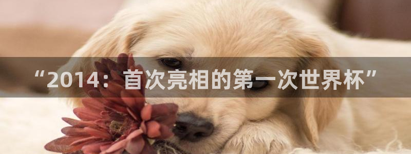 免费看足球直播比赛：“2014：首次亮相的第一次世界杯”