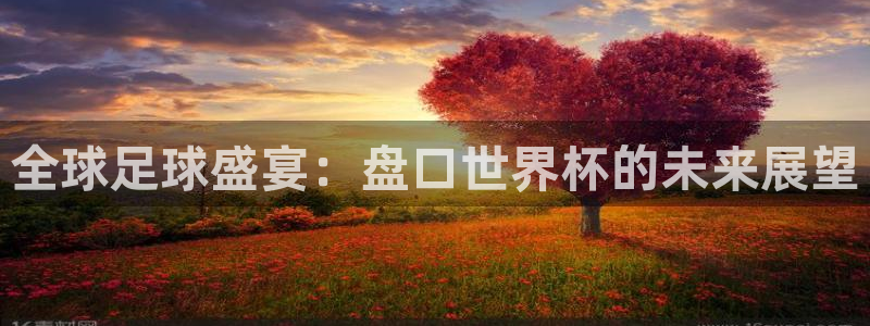 世界杯足球赛2026赛程时间：全球足球盛宴：盘口世界杯的未来展望