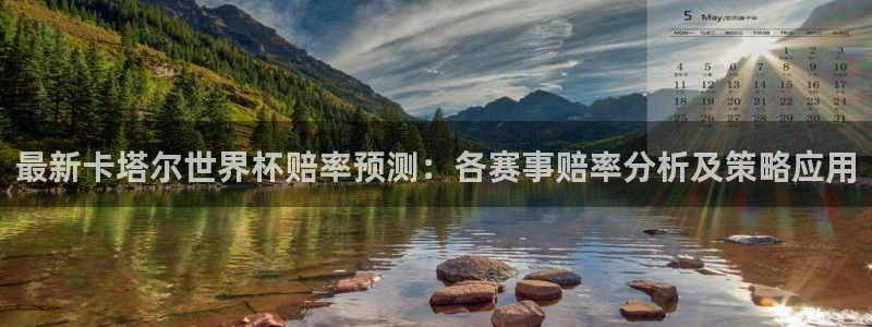 2006世界杯：最新卡塔尔世界杯赔率预测：各赛事赔率分析及策略应用