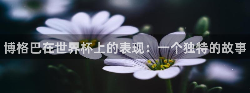 2026男足世界杯赛程：博格巴在世界杯上的表现：一个独特的故事
