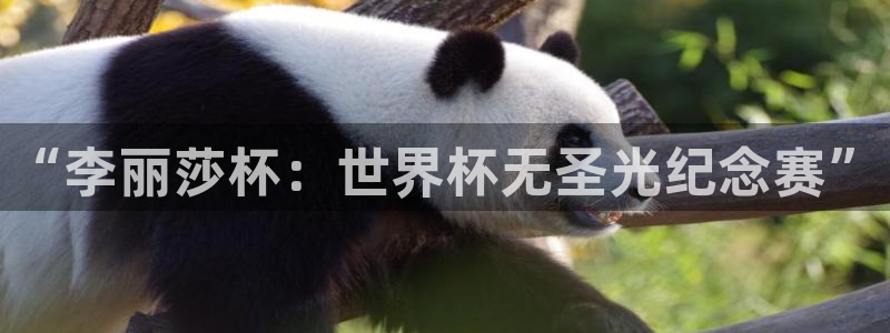 世界杯直播：“李丽莎杯：世界杯无圣光纪念赛”