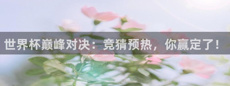 世界杯48支球队赛制：世界杯巅峰对决：竞猜预热，你赢定了！