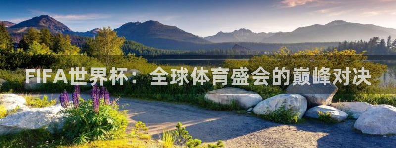 足球世界杯2026：FIFA世界杯：全球体育盛会的巅峰对决